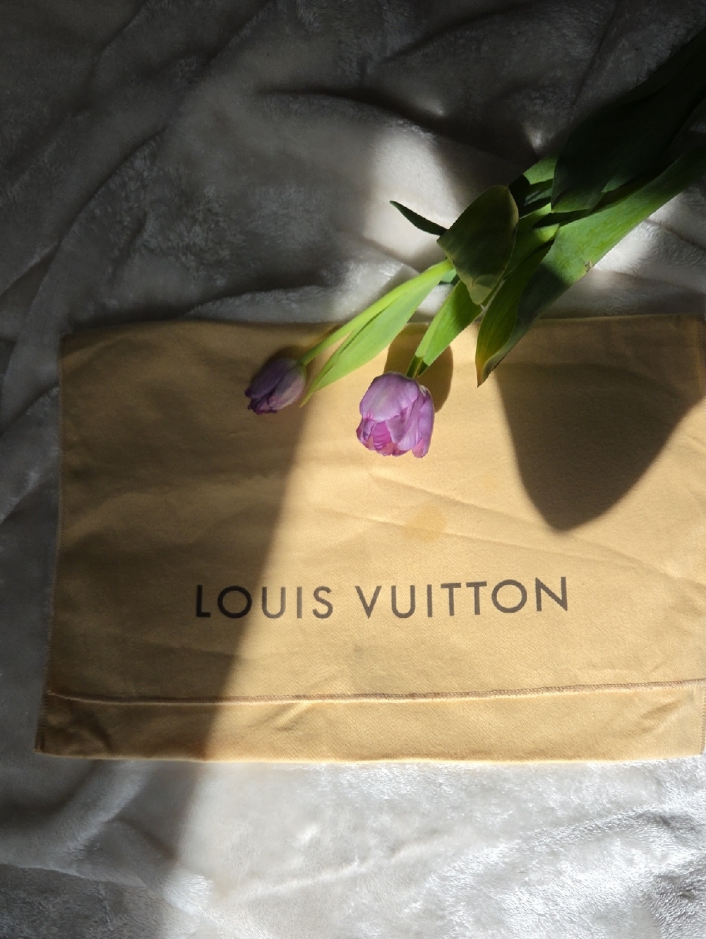 Authentic Louis Vuittton Envelope Fold Over Dust Bag.
